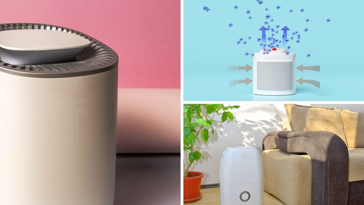 Breathe Easier With these 7 TopRated Dehumidifiers For Allergies.