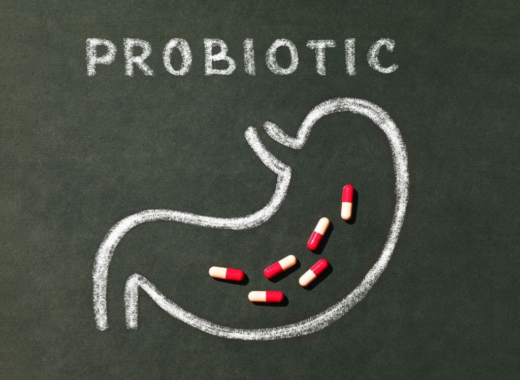 best probiotic for travel