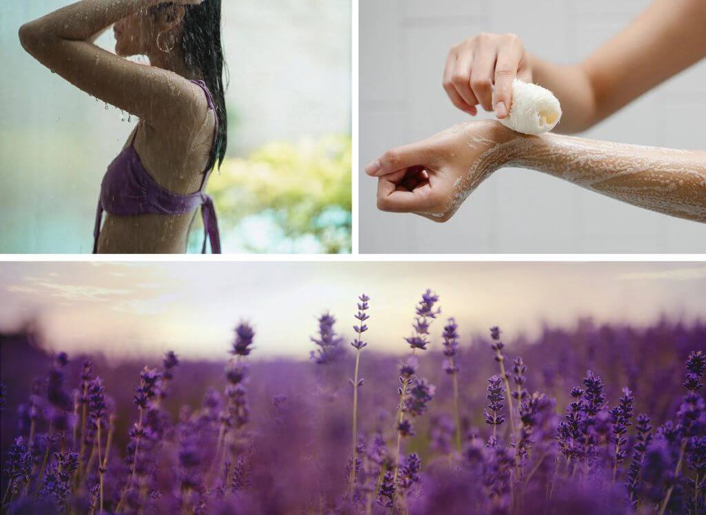 best lavender body wash