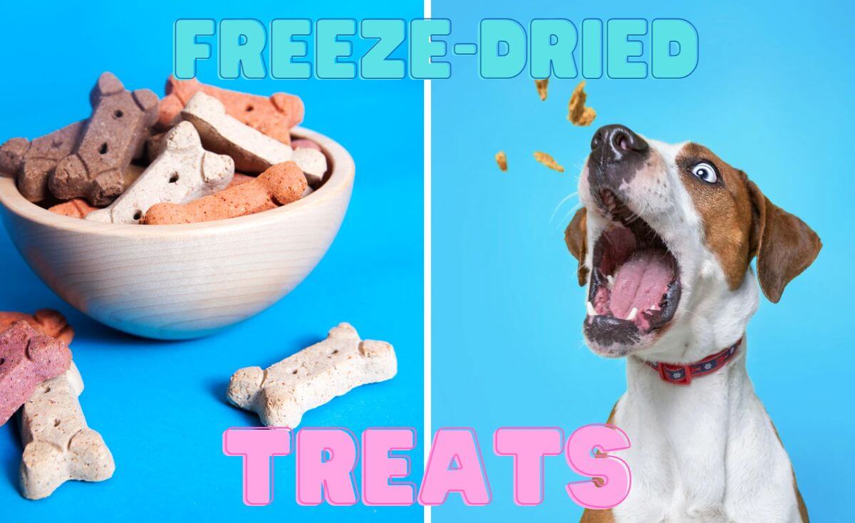 freeze dried treats