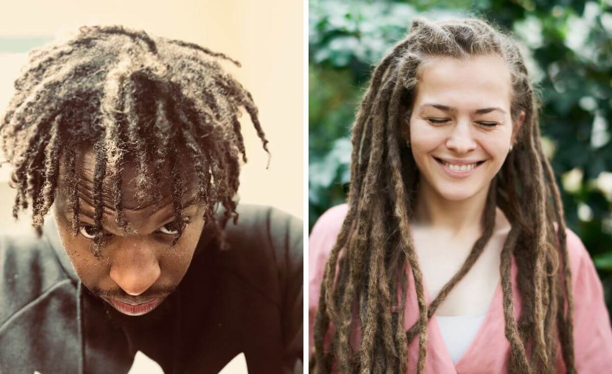 best shampoo for dreads and dandruff