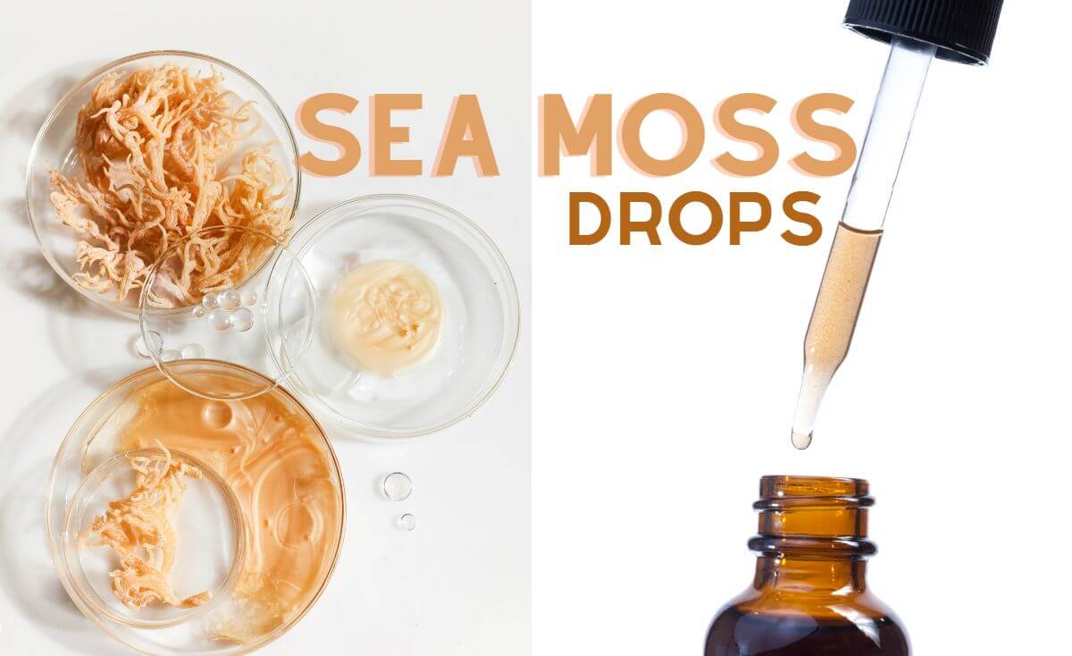 sea moss drops