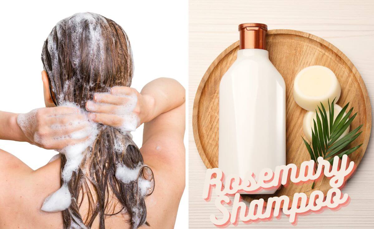 rosemary shampoo