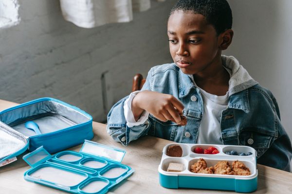 Fun, Easy Way To Make Packed Lunches For Your Child!