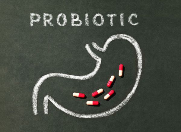 The Best Probiotics for Travel – Keep Your Gut Healthy On the Go!