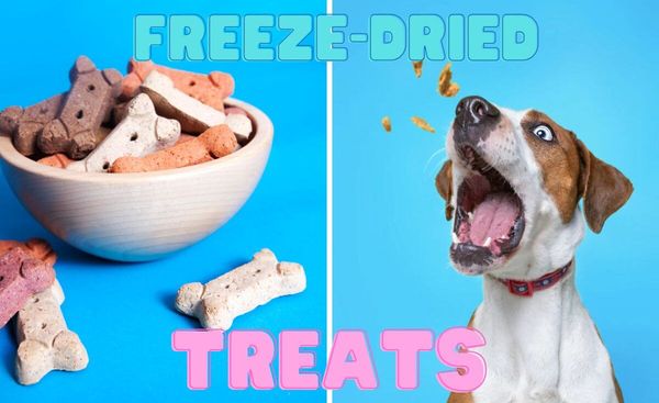 Unleashed Nutrition: The Top 7 Freeze-Dried Treats For Your Pet