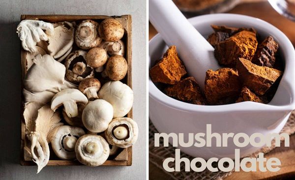 Brainful Benefits and Sweet Delights: The Must-Try Mushroom Chocolate Drinks