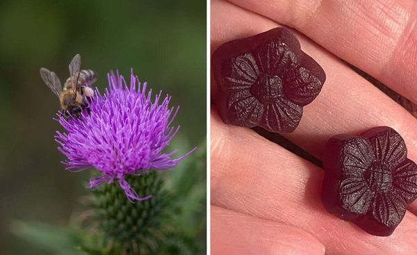 The Best Milk Thistle Gummies for Your Health and Well-being