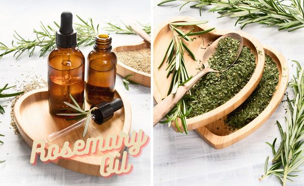 Discover the Best Rosemary Oils to Create an Uplifting and Healing Home Aroma