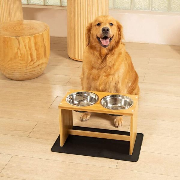 Pawsome Finds Your Guide to Finding the Perfect Elevated Dog Bowl