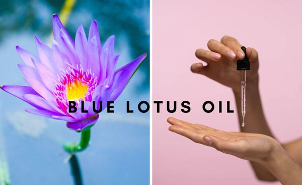 Get The Most Out of Your Blue Lotus Oil: Top Brands Reviewed