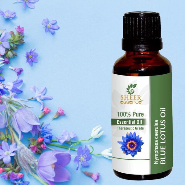 Get The Most Out of Your Blue Lotus Oil: Top Brands Reviewed