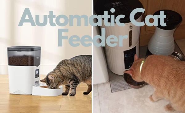 Don't Leave Your Cat Hungry Anymore - Get the Best Automatic Cat Feeder